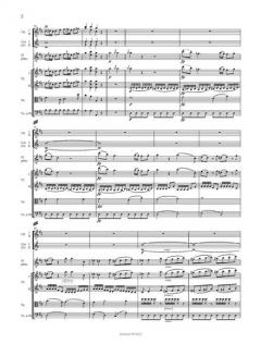 Flötenkonzert Nr. 2 D-dur KV 314 (285d) von Wolfgang Amadeus Mozart 