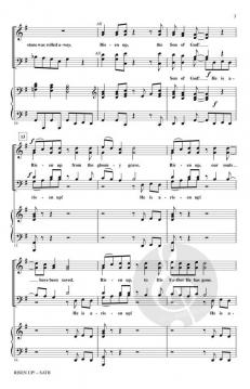 Risen Up! von David Lantz III 