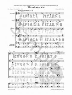 The crimson sun von Alexander Campkin 