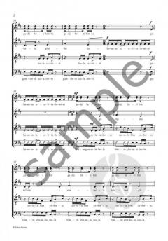 gadji beri bimba von Jens Klimek 