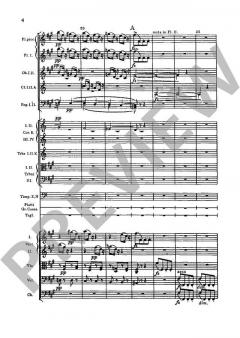 Slawische Tänze op. 46/5-8 B 83 von Antonín Dvořák 