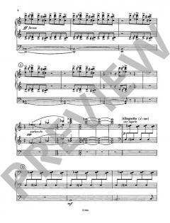 Sonata von Jiri Dvoracek 