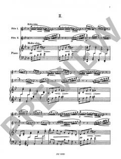 Deux Papillons von Emil Kronke 