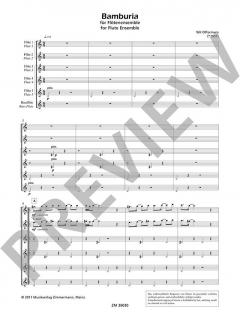 Bamburia von Wil Offermans 