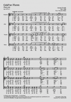 Zitné pole (Antonín Dvorák) 