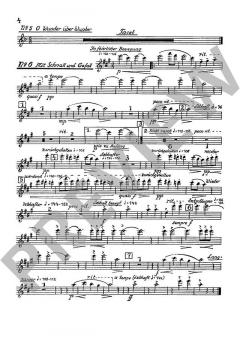 Christnacht op. 85 von Joseph Haas (Download) 