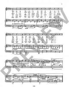 Tschechische und slowakische Volkslieder von Václav Trojan 