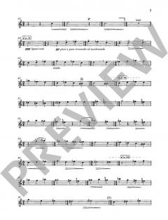 Lux aeterna von Markus Zahnhausen 