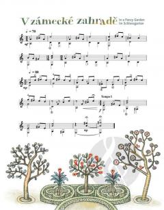 Chci být kytaristou - Ich will Gitarrist werden von Lukáš Sommer 