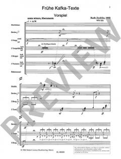 Frühe Kafka-Texte WN 222 von Ruth Zechlin 