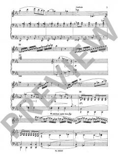 Divertimento Es-Dur von Carl Maria von Weber 