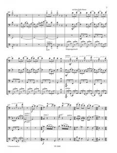 Fagöttliches Delirium von Christian W. Petersen 