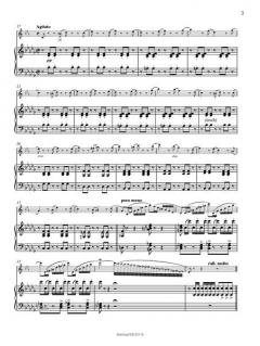 Konzertfantasie über Themen aus der Oper 'Rigoletto' von Luigi Bassi 