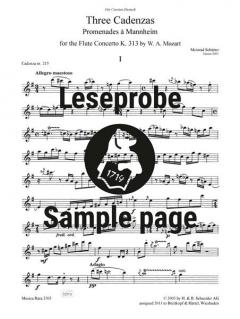 3 Kadenzen zu Mozarts Flötenkonzert KV 313 (285c) von Meinrad Schütter im Alle Noten Shop kaufen