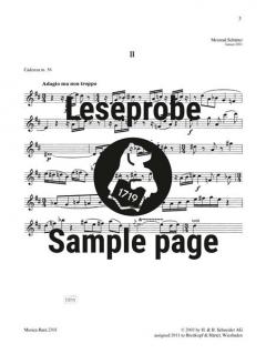 3 Kadenzen zu Mozarts Flötenkonzert KV 313 (285c) von Meinrad Schütter im Alle Noten Shop kaufen