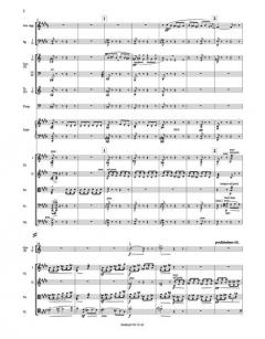 Noches en los Jardines von Manuel de Falla 