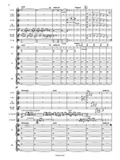 Symphonie Nr. 1 für Orchester D-Dur (1910) von Gustav Mahler im Alle Noten Shop kaufen (Partitur)