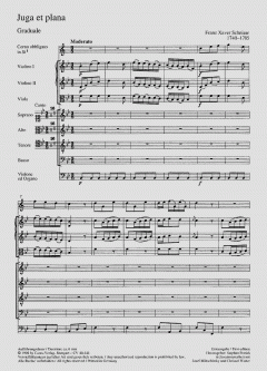 Juga et plana (Franz Xaver Schnizer) 