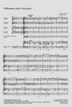 Willkommen, süßer Bräutigam (Vincent Lübeck) 