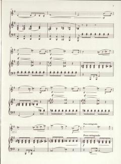 Chanson de matin / Chanson de nuit von Edward Elgar 