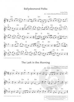 The Irish Violin Book im Alle Noten Shop kaufen kaufen