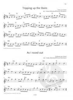 The Irish Violin Book im Alle Noten Shop kaufen kaufen