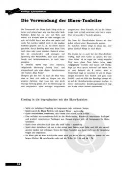 Blues Harp von Perry Letsch 