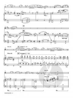 Bassonnerie von Jan van der Roost 