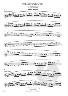 PATA Workbook 1: systematics von Norbert Stein 