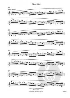 PATA Workbook 1: systematics von Norbert Stein 