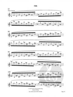 PATA Workbook 1: systematics von Norbert Stein 