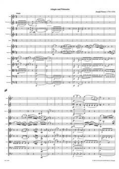 Sinfonia concertante von Joseph Panny 