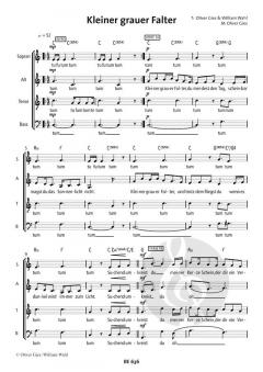 Kleiner grauer Falter von Oliver Gies 