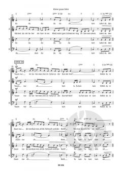 Kleiner grauer Falter von Oliver Gies 