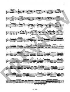 Universaltechnik des Violinspiels op. 96 Heft 2 von Richard Hofmann (Download) im Alle Noten Shop kaufen