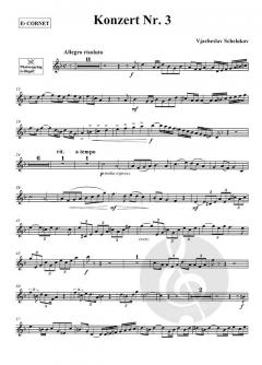 Konzert Nr. 3 von Vjacheslav Schelokov 