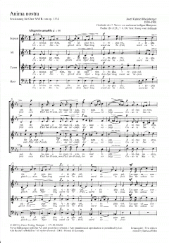 Anima nostra (Joseph Gabriel Rheinberger) 