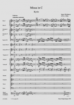 Musik der Mannheimer Hofkapelle Band 1 (Ignaz Holzbauer) 