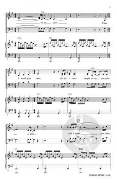 Guiding Light von Mumford & Sons 