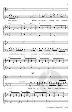 John Denver in Concert 