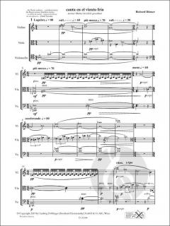 canta en el viento frío von Richard Dünser 