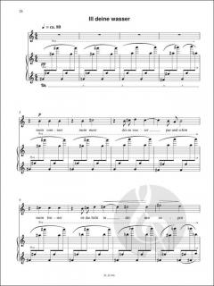 'sie ist aber' von Helmut Schmidinger 