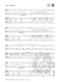 Flying Fingers Band 2 - Begleitungen von Daniel Hellbach 