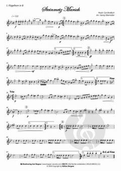 Steinmetz Marsch von Karl Bratfisch 