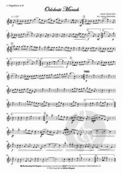 Odobesti Marsch von Georg Fürst 