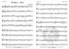 FC Bayern Marsch von Georg Fürst 