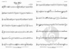 Erler Wind von Georg Obermüller 