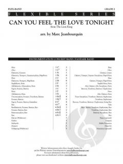 Can You Feel the Love Tonight 