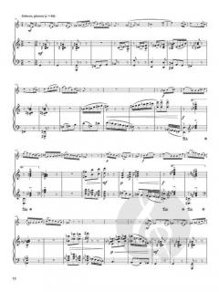 Fortuna von Jan Hadermann 