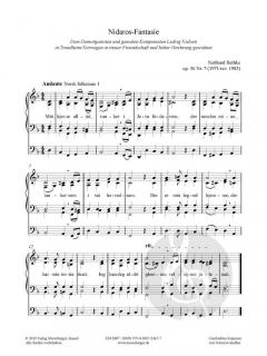 Nidaros-Fantasie op. 56/7 von Neithard Bethke 